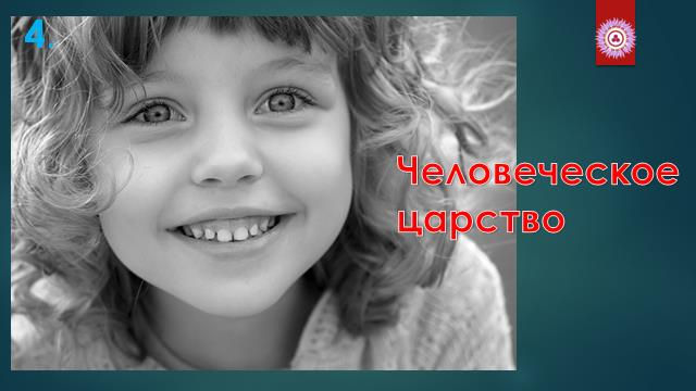 Человеческое царство