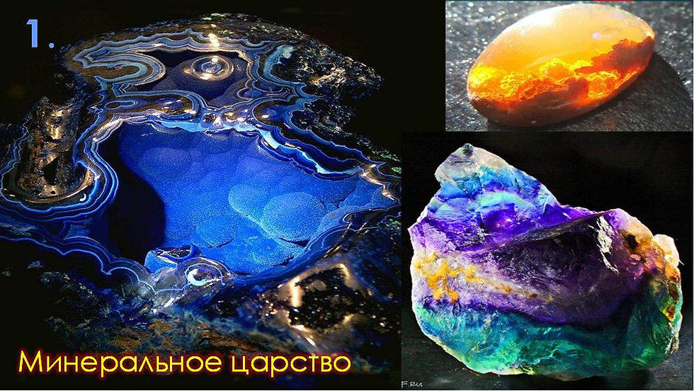 Минеральное царство