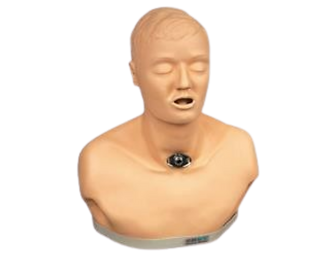GD/H23 ADULT TRACHEOTOMY CARE SIMULATOR