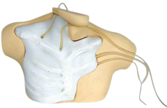 GD/L69B CENTRAL VENOUS CATHETERIZATION SIMULATOR