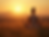 Past Life Soul Regression and Reiki (8/15/2026)