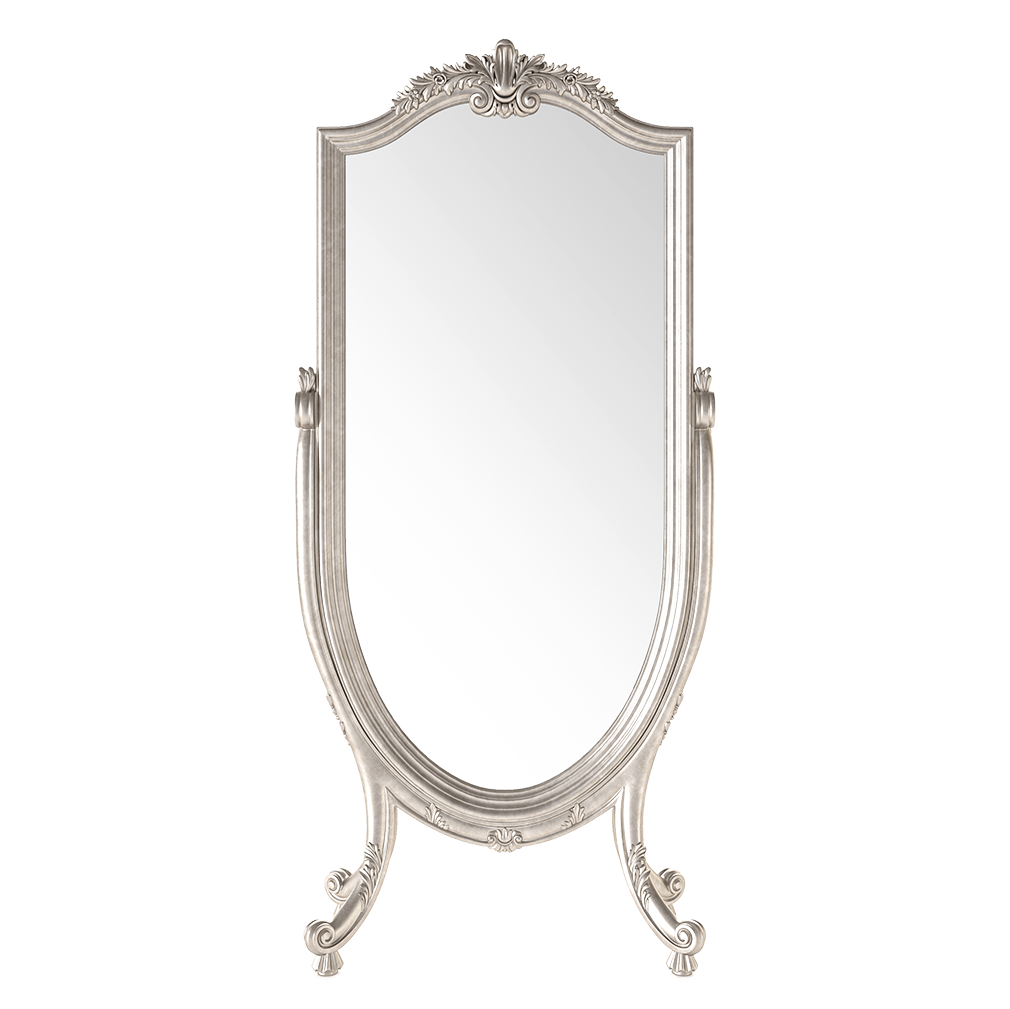 17656 Swivel Mirror