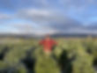 FA88D631-B428-40CB-AE05-E61EB0E58E96_1_105_c.jpeg