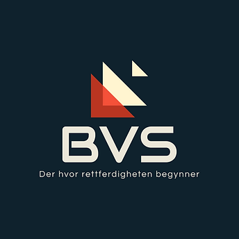 Barnevernsak