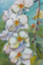 Cascade of Orchids