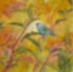Indigo Bunting