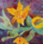 Yellow Tulip