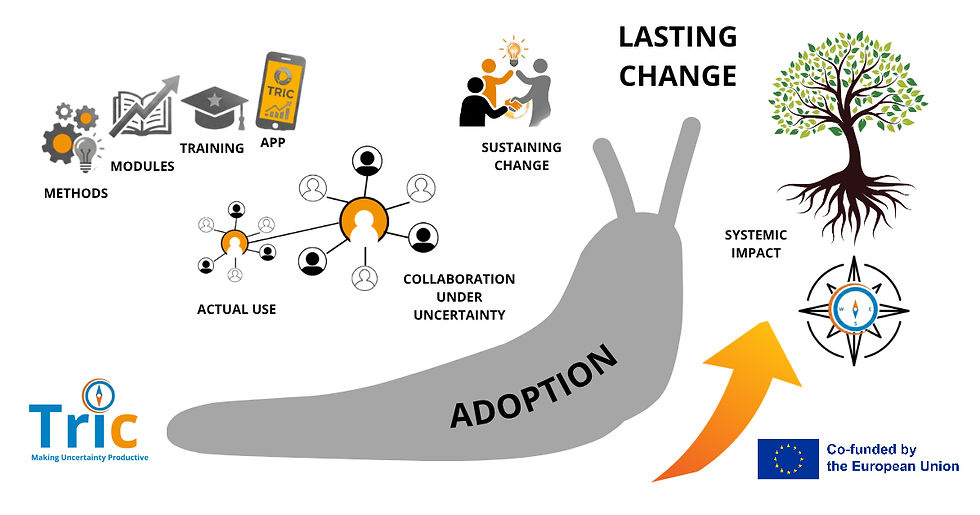 illustration how tric project helps to create lasting change to navigate in chaos skill