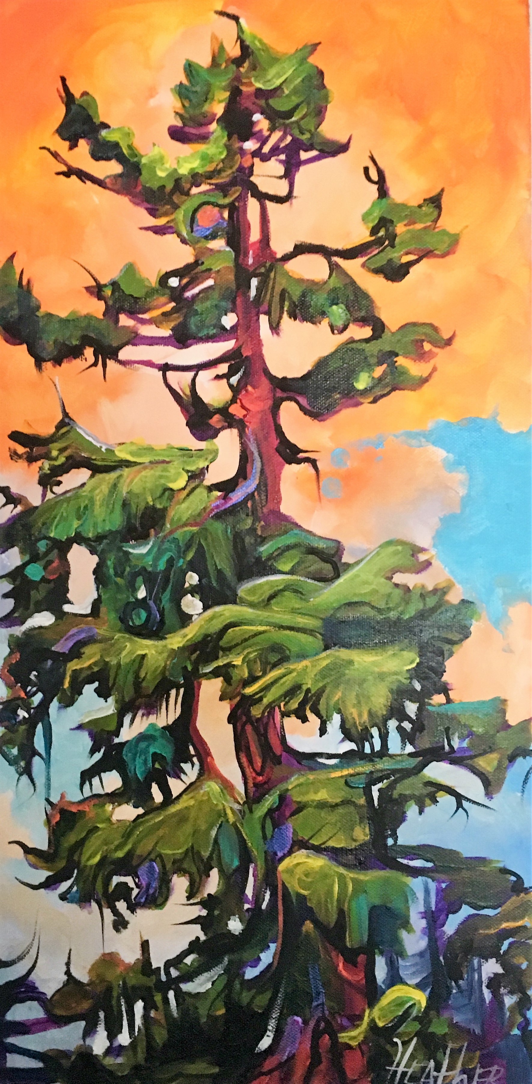Sundance 12 x 24 SOLD