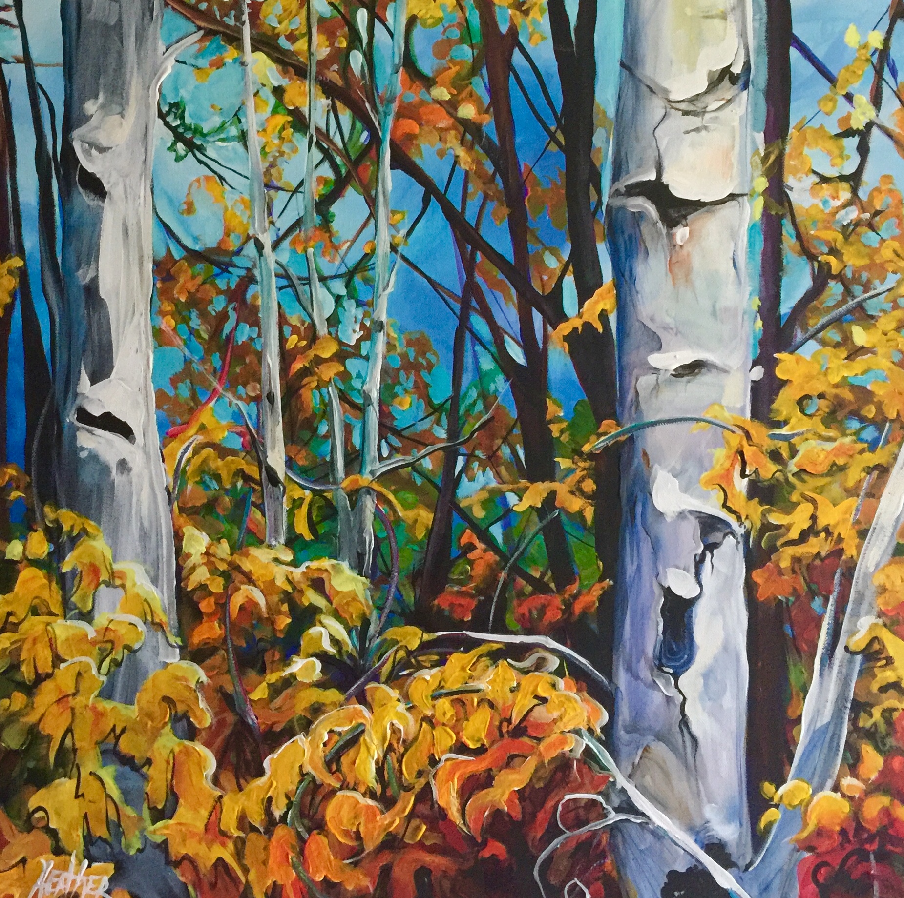 Among the Birch 24 x 24 $1800