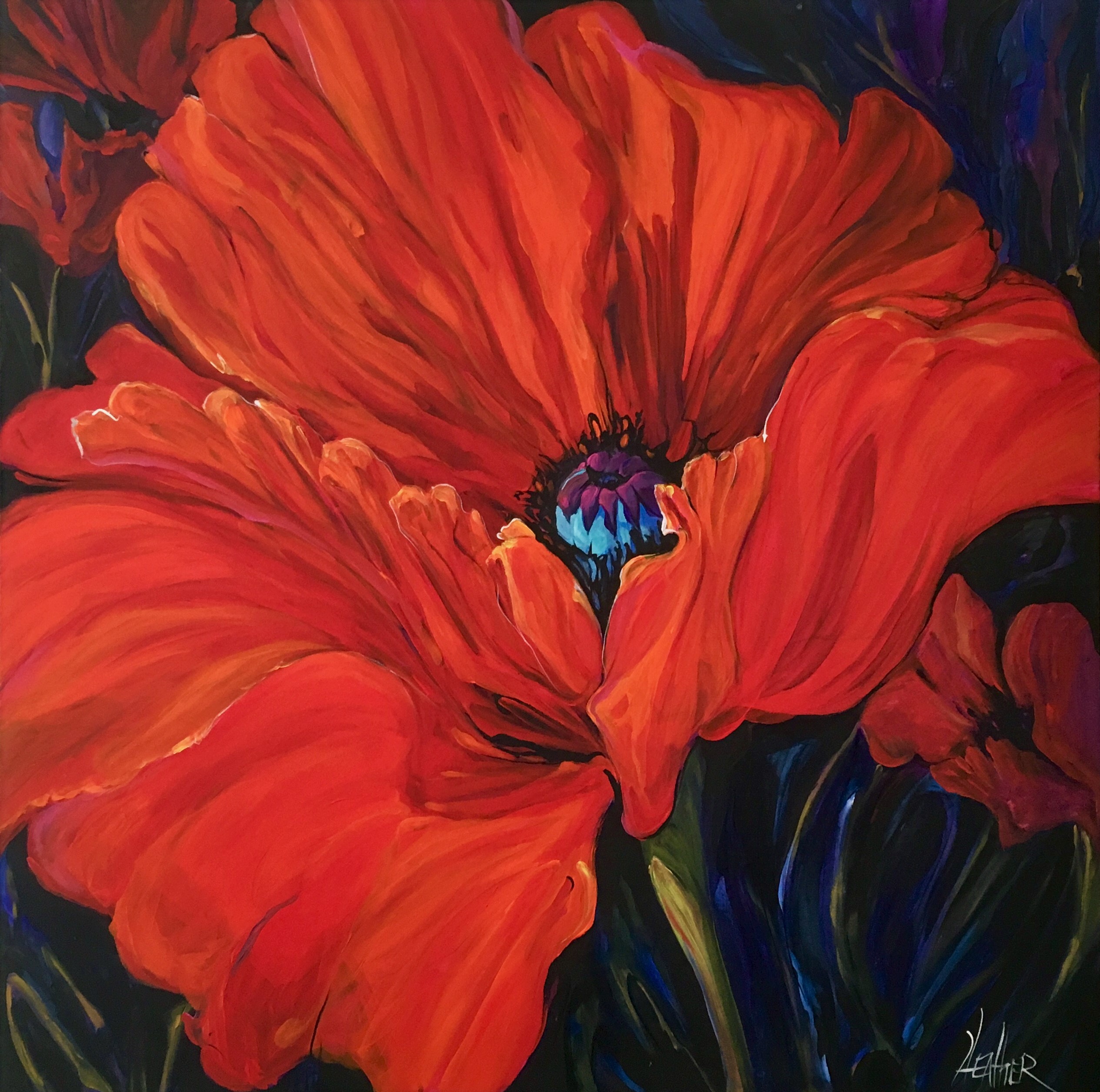 The Poignant Poppy a Study 36 x 36