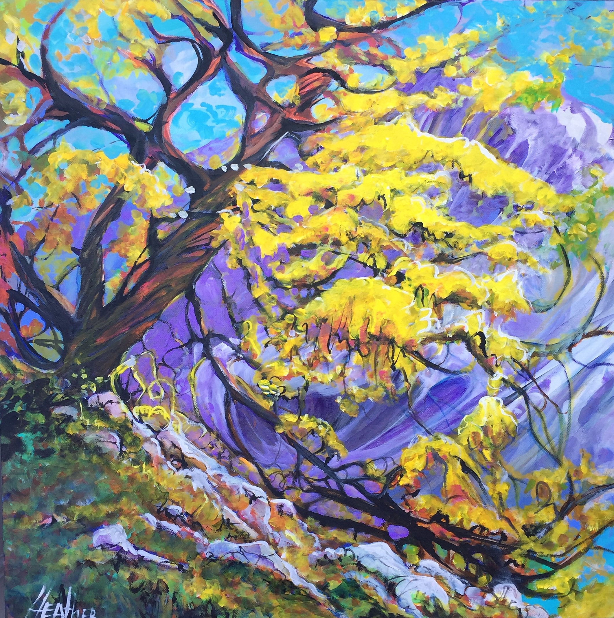 Old Yellar 24 x 24 $1900