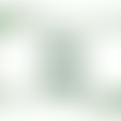 Tremis Capital Annual Letter 2022