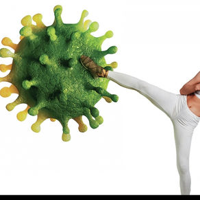 Gut Health and Immunity