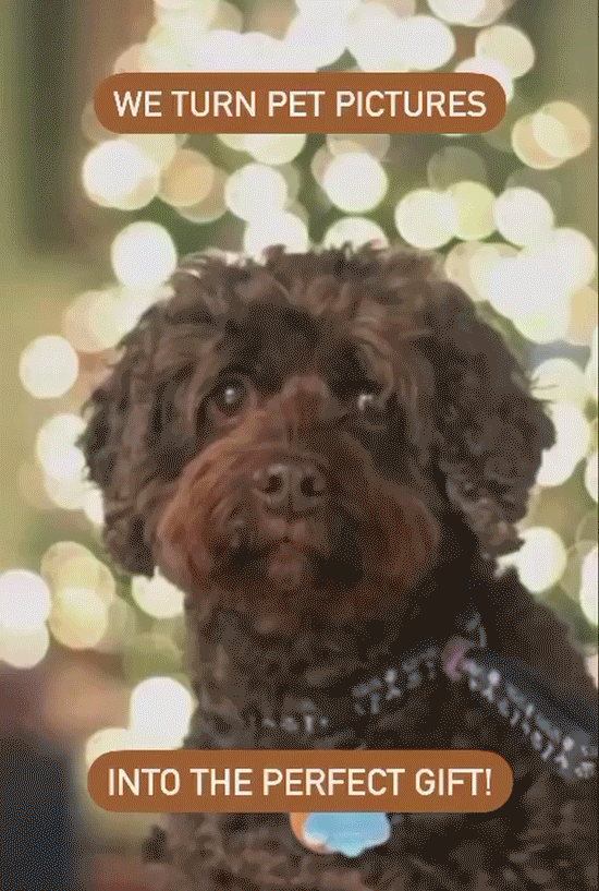 snickers-gif.gif