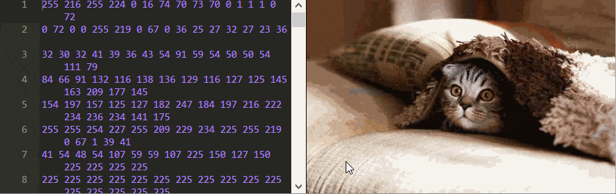 glitchy-cat.gif