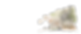 slajd1c.png
