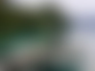 Secret proposal in Iseltwald, Switzerland