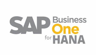 Key Features of SAP Business One on HANA