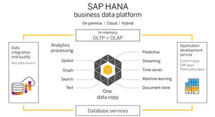 SAP Business One on HANA program