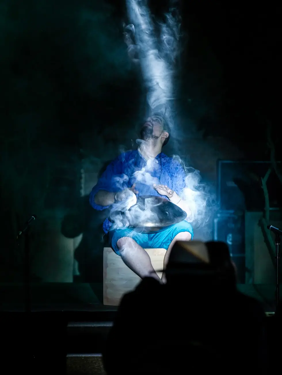Shakespeare in the Park (2019)