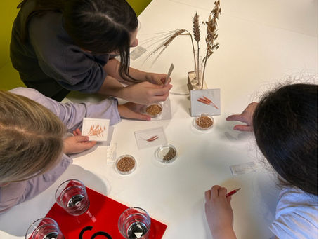 Besuch der Experimenta zum Thema Getreide