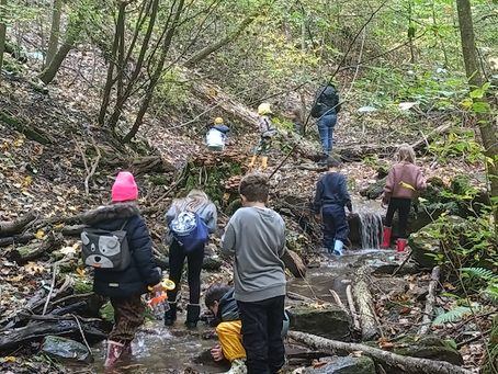 Erlebnisbericht der 2. Klasse – Herbsttage auf dem Gaffenberg