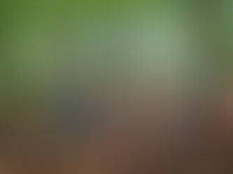 Drei ereignisreiche Tage auf dem Gaffenberg