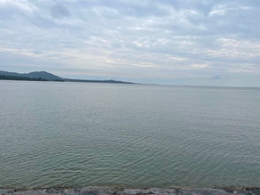 石垣に住むとこんないいことが！？石垣あるある～