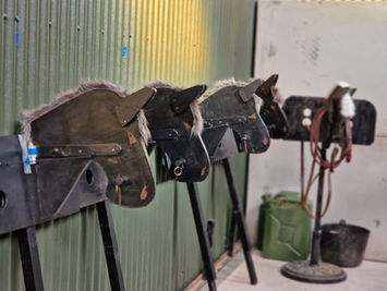 Pete the Pony Foals 1.jpg