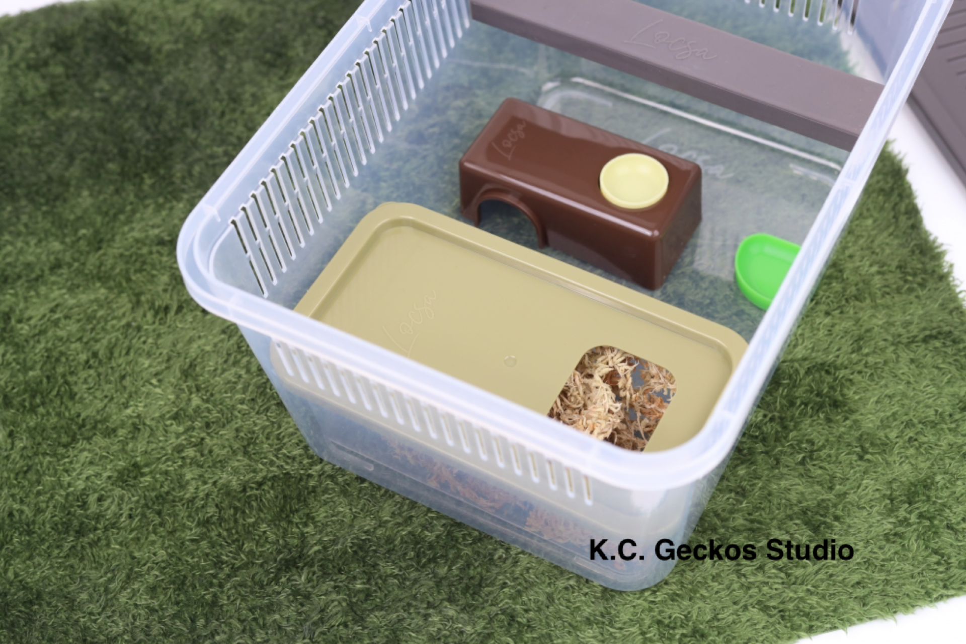 LOCSA產卵盒（小）