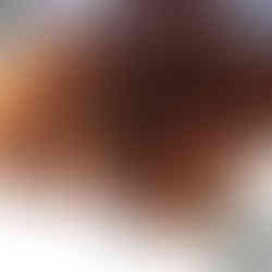 Apple fritters resting in a paper towel lined metal bowl.