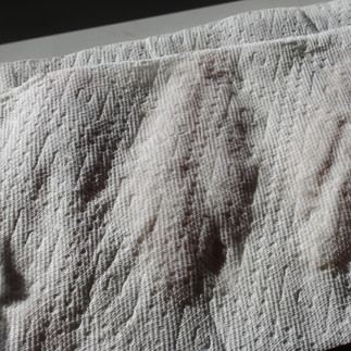 fish filets between paper towels to pat dry