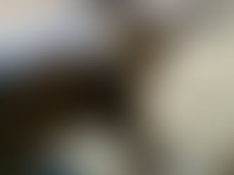 GIRLS TRIP TO SAN FRANCISCO