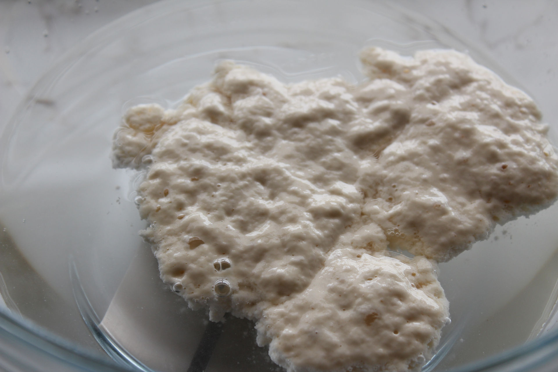 sourdough starter floating in water