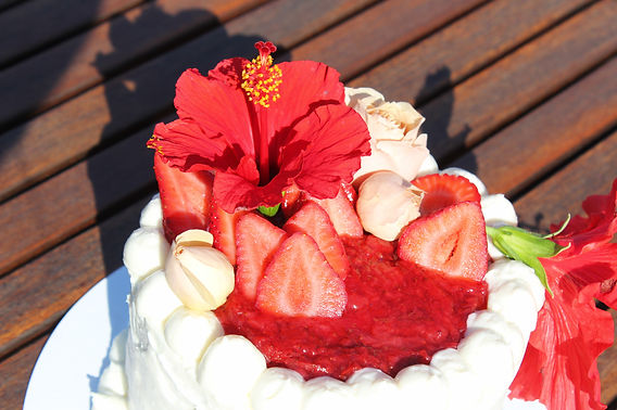 freya's 40th birthday celebration strawberry cake dress Freya's Birthday Celebration Strawberry Cake Dress