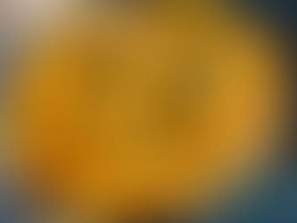 Chicken Korma By Shai Ayoub