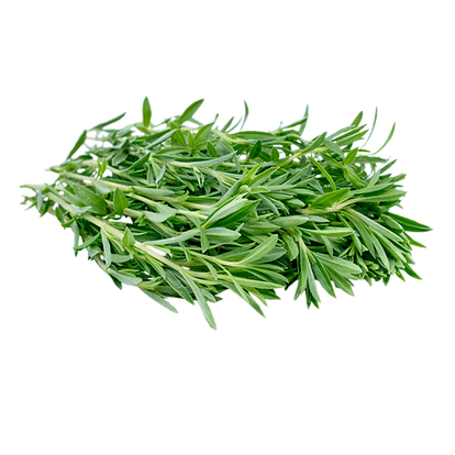 Untitled design (92).png
