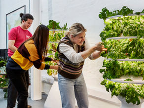 Office Farms: An essential amenity for the modern workplace