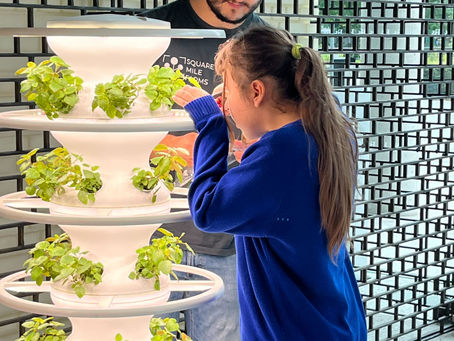 Can an office Farm help you achieve WELL certification?