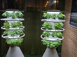 Mercure farmstands.jpeg