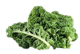 Kale similar to produce grown by Square Mile Farms