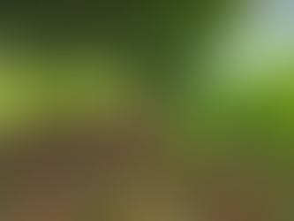 When Weeds Help: The Hidden Benefits of Common Orchard Weeds