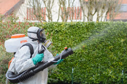 DESINSECTISATION DE JARDIN