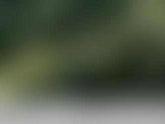 Textures & Materials