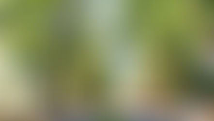 Place to unwind 🍃By: Cyd Patrick Napalla