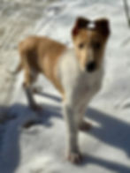 017fa8eb97b0c99edf087b538f9c6b52