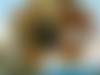 January 2023 Saint of the Month: Anthony of Egypt by Daniel