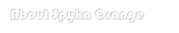About SO.png