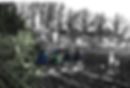 Kartoffelroden_2_edited.jpg